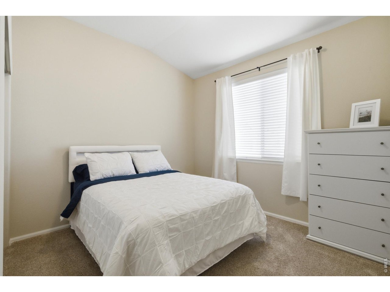 3465 Petrel Dr