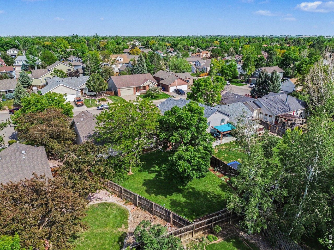 3847 Cardiff Ct