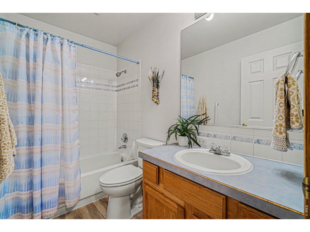 3847 Cardiff Ct