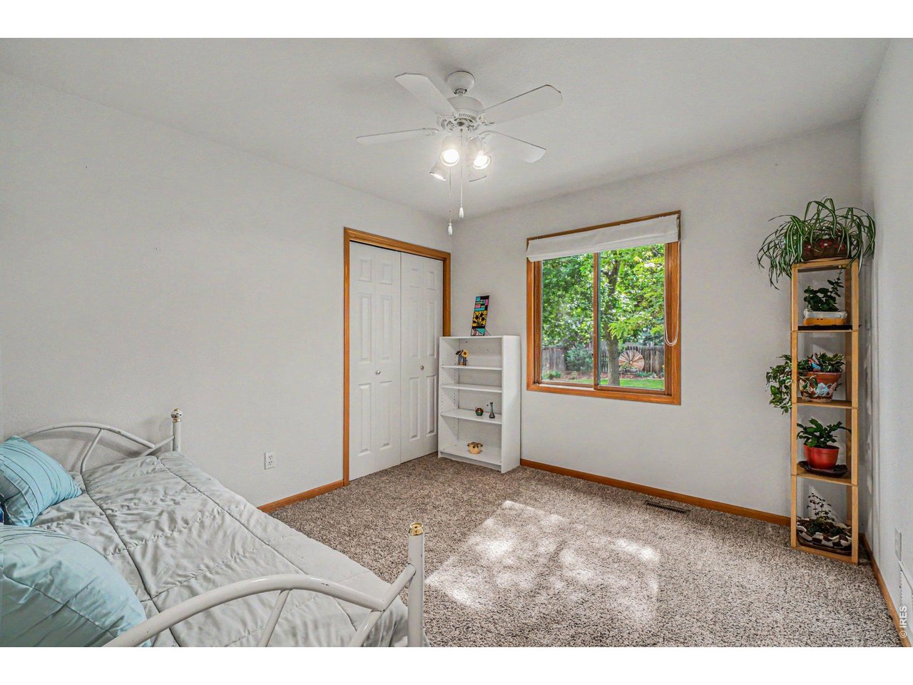 3847 Cardiff Ct