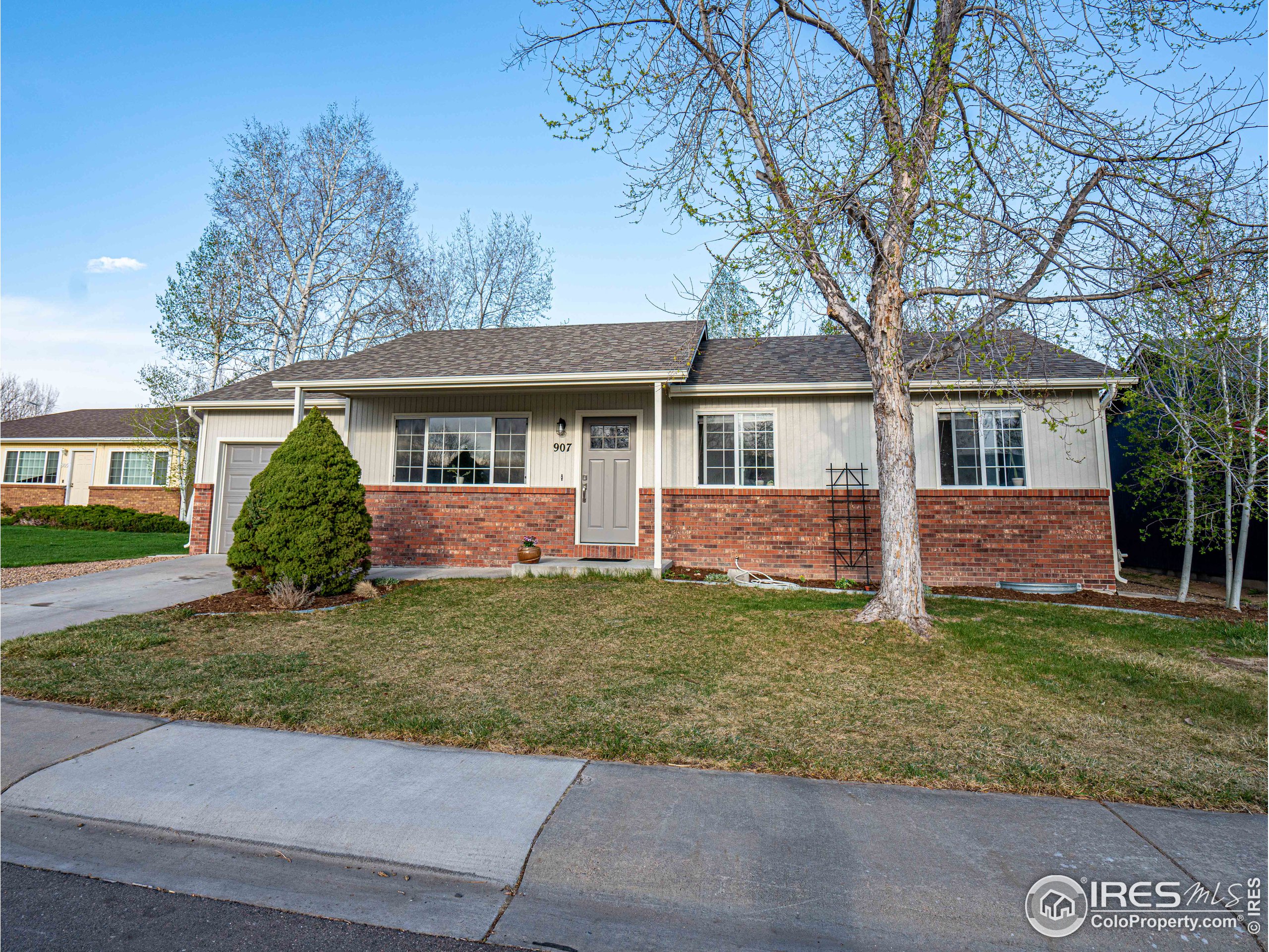 907 Canyon Ct