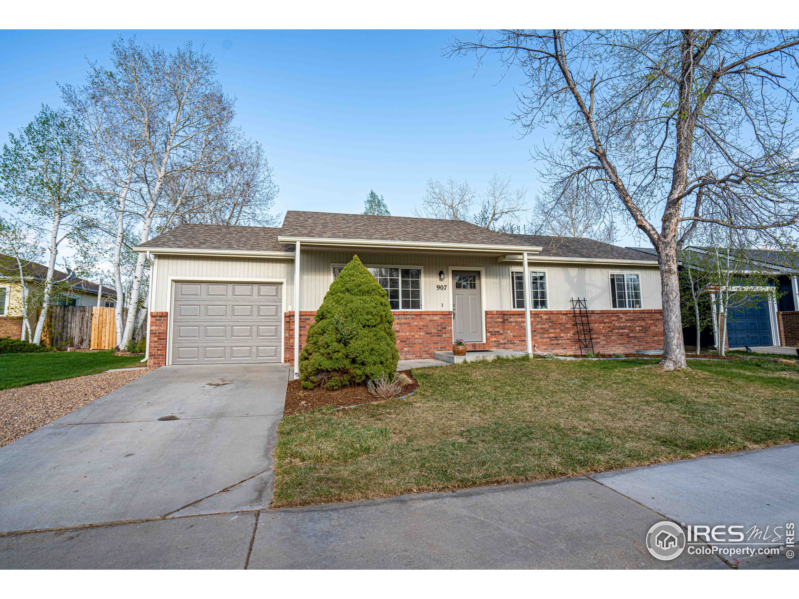 907 Canyon Ct