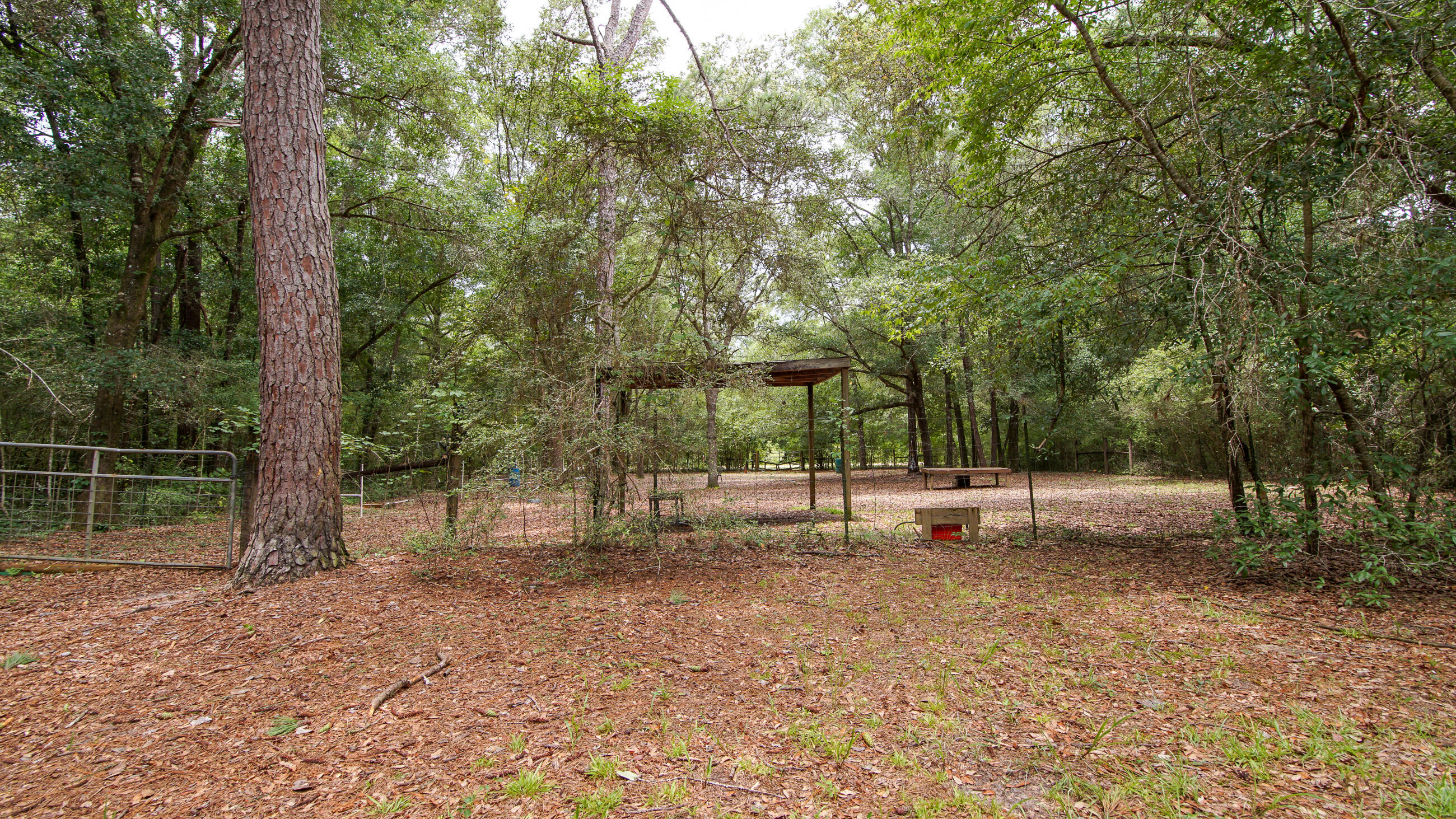 2765 Shade Tree Lane