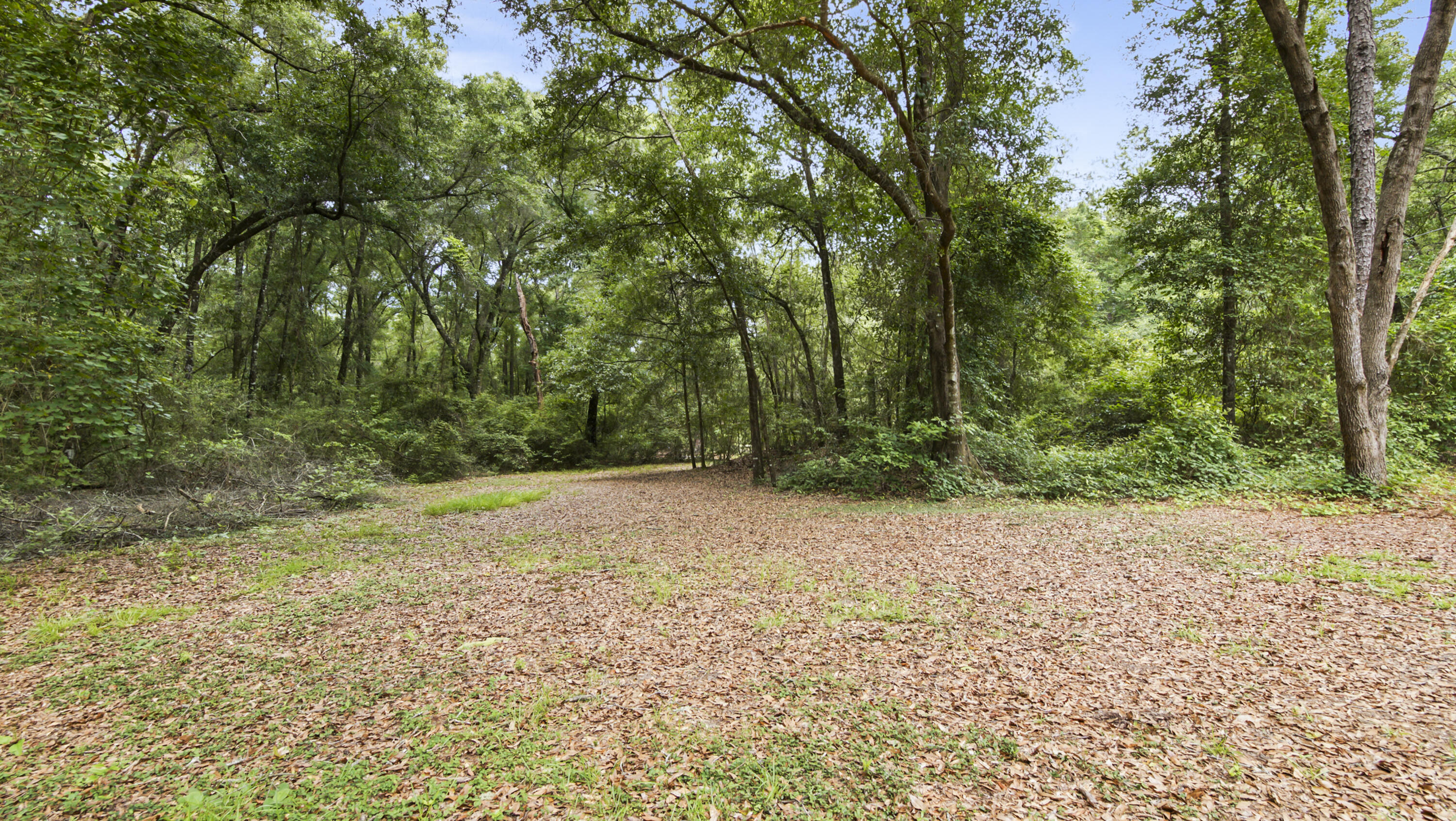 2765 Shade Tree Lane