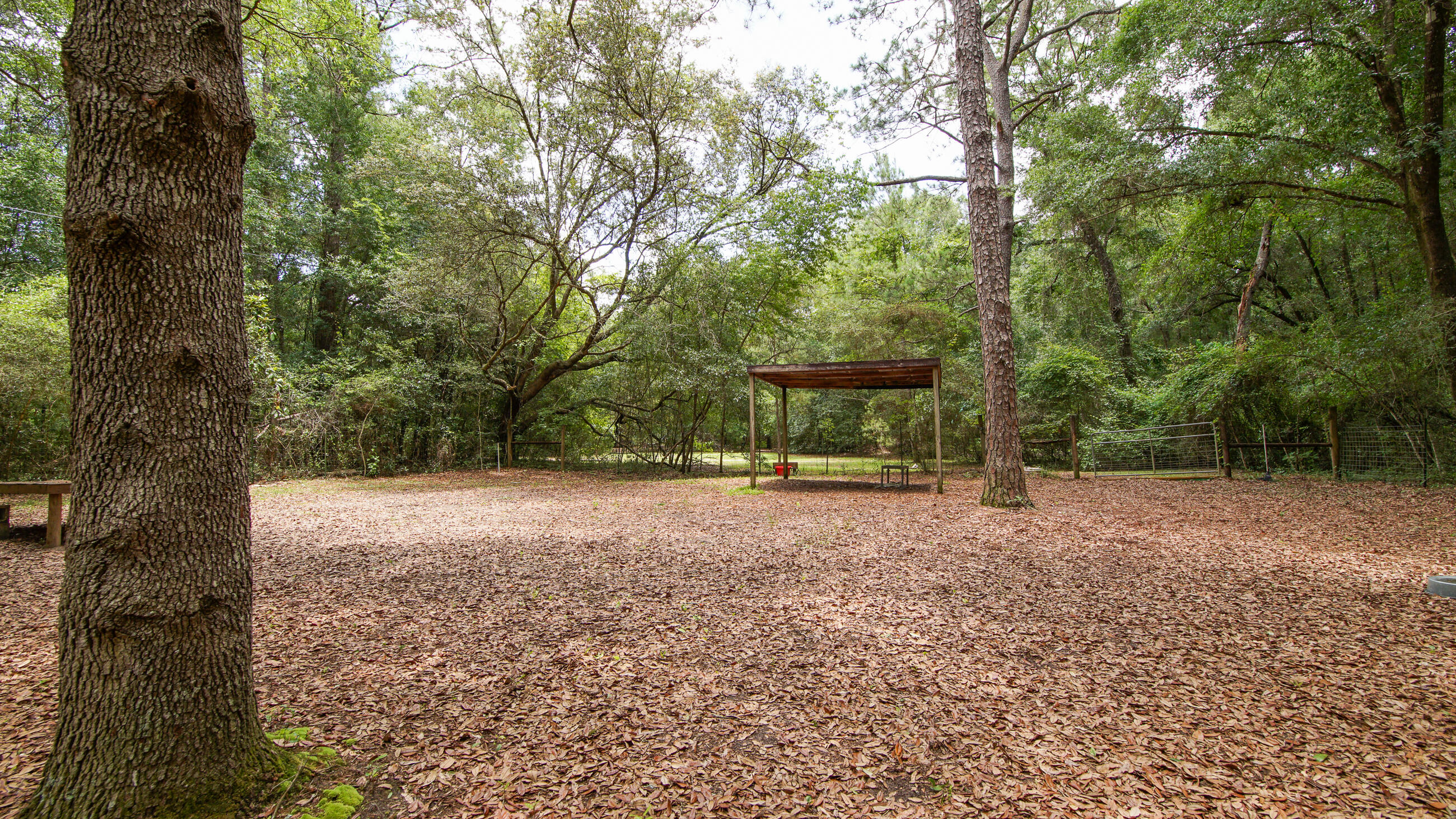 2765 Shade Tree Lane