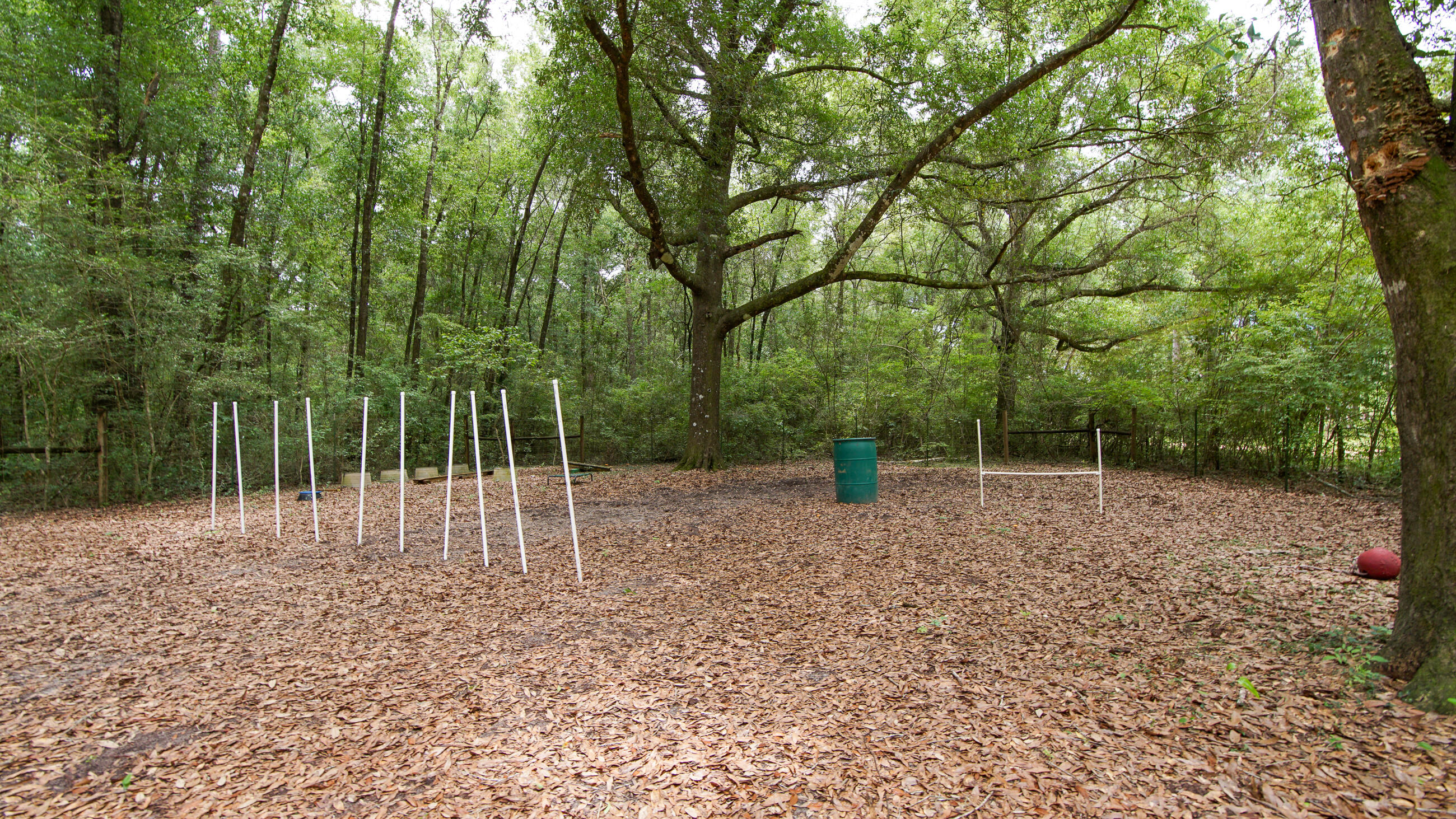 2765 Shade Tree Lane