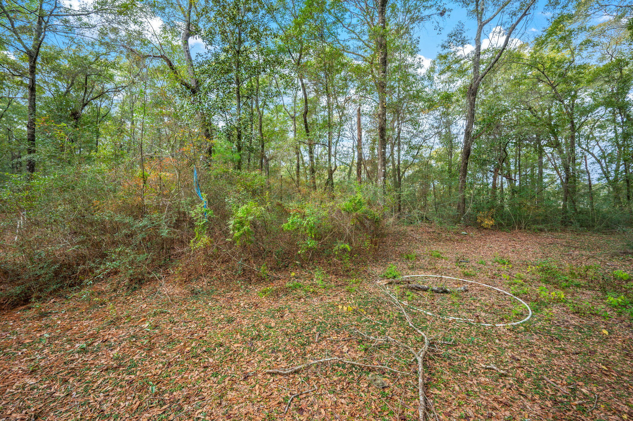 276 Squirrel Road, DeFuniak Springs