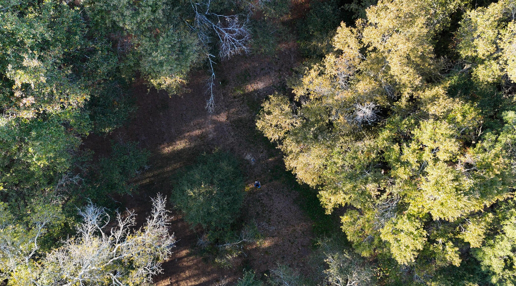 276 Squirrel Road, DeFuniak Springs