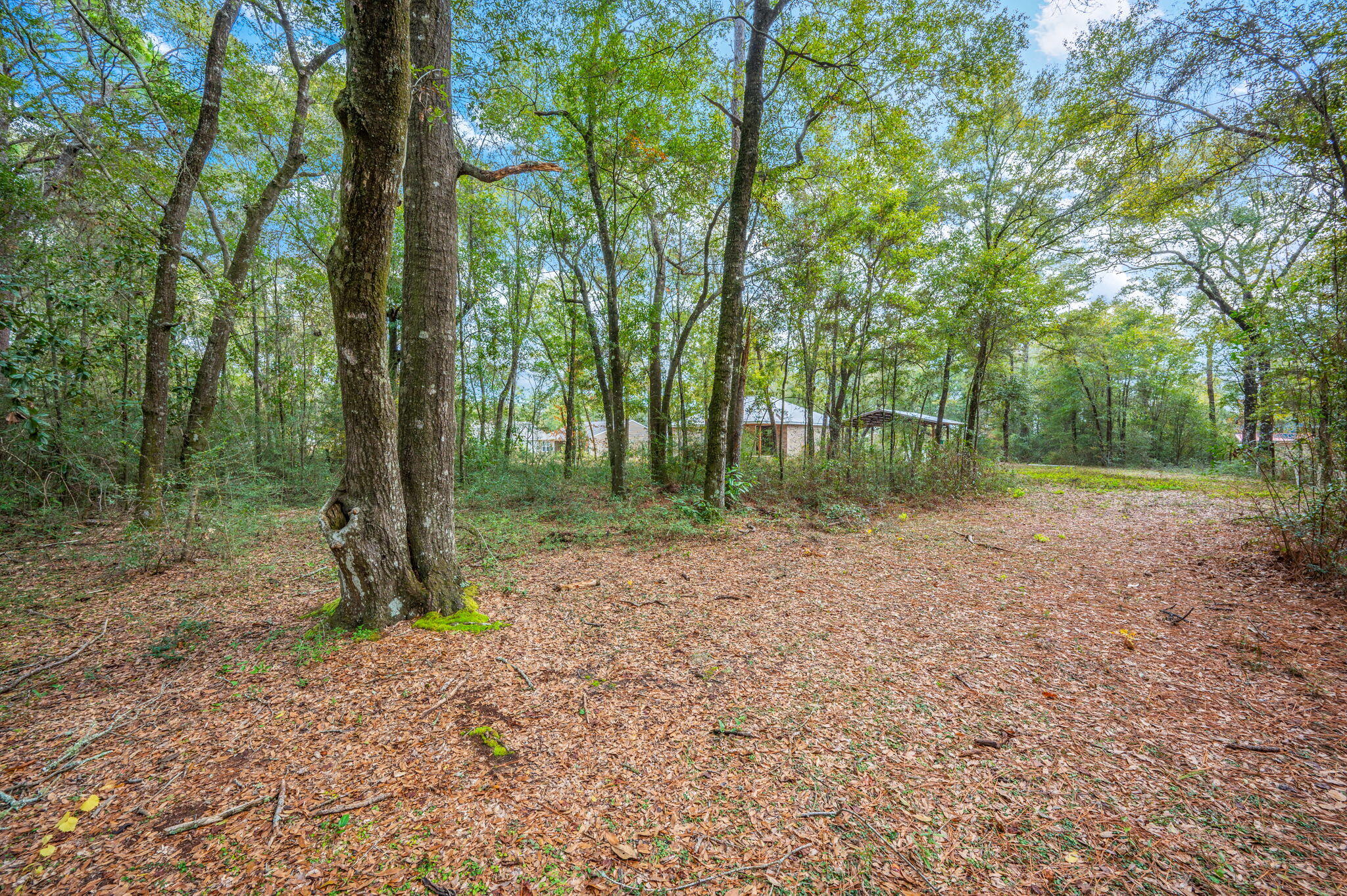 276 Squirrel Road, DeFuniak Springs