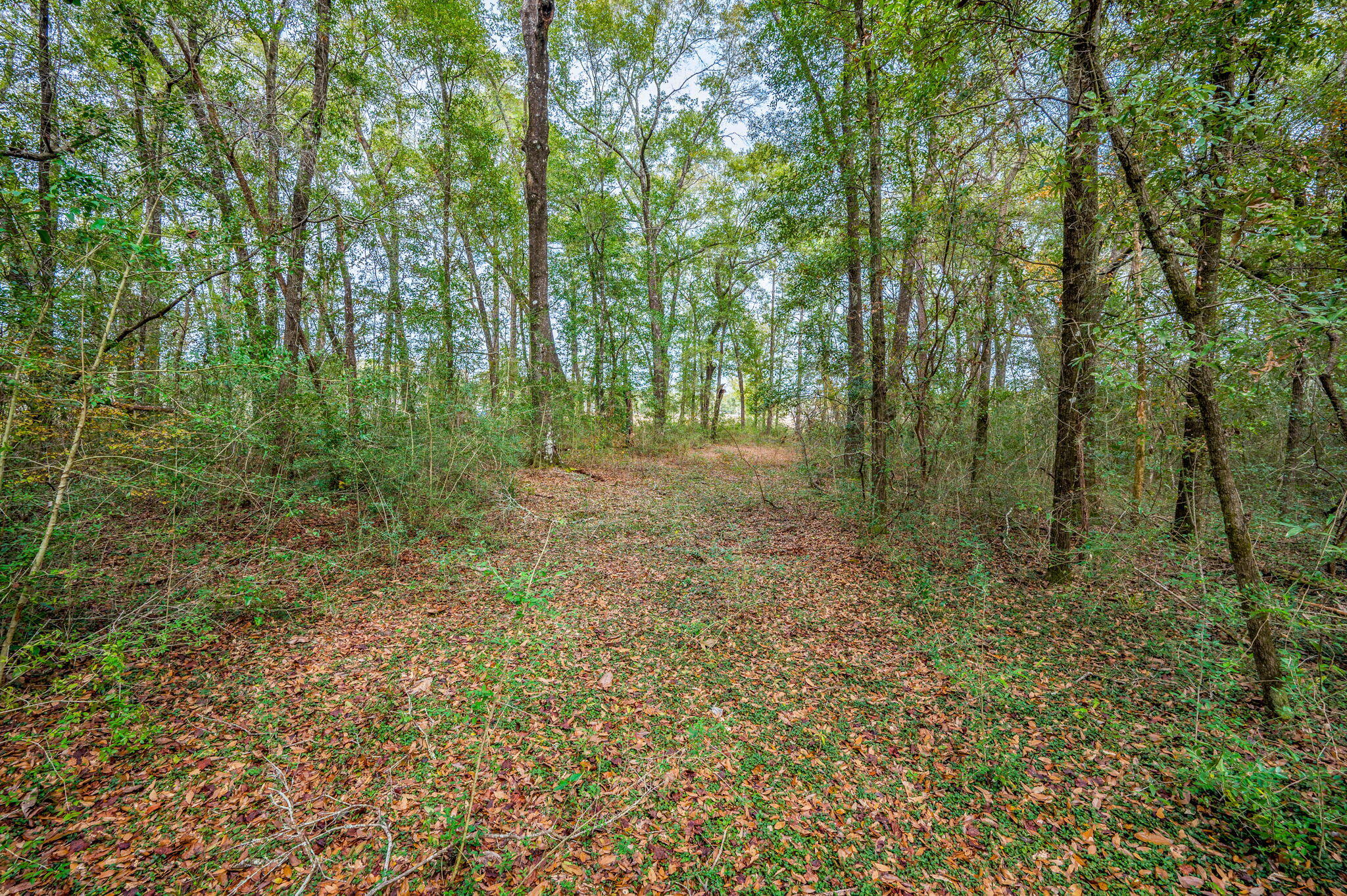 276 Squirrel Road, DeFuniak Springs