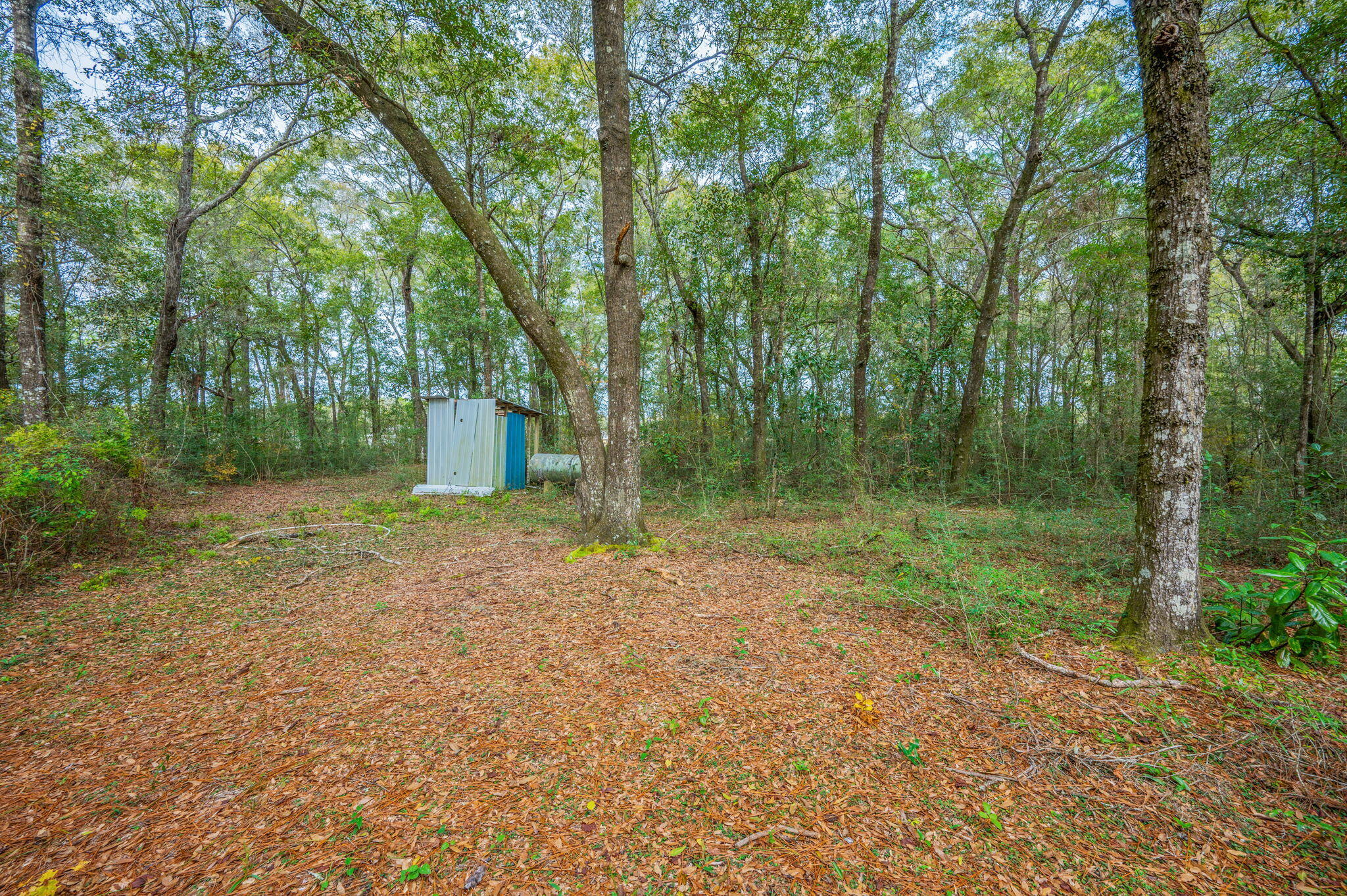 276 Squirrel Road, DeFuniak Springs