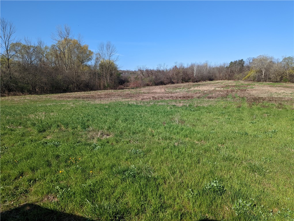 LOT 4 Freshour Road