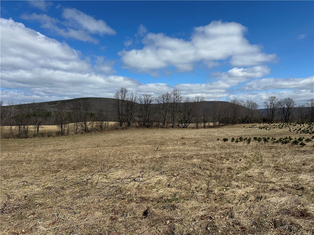 231 Prattsburg Road