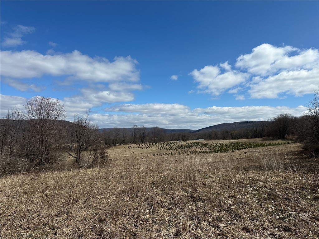 231 Prattsburg Road