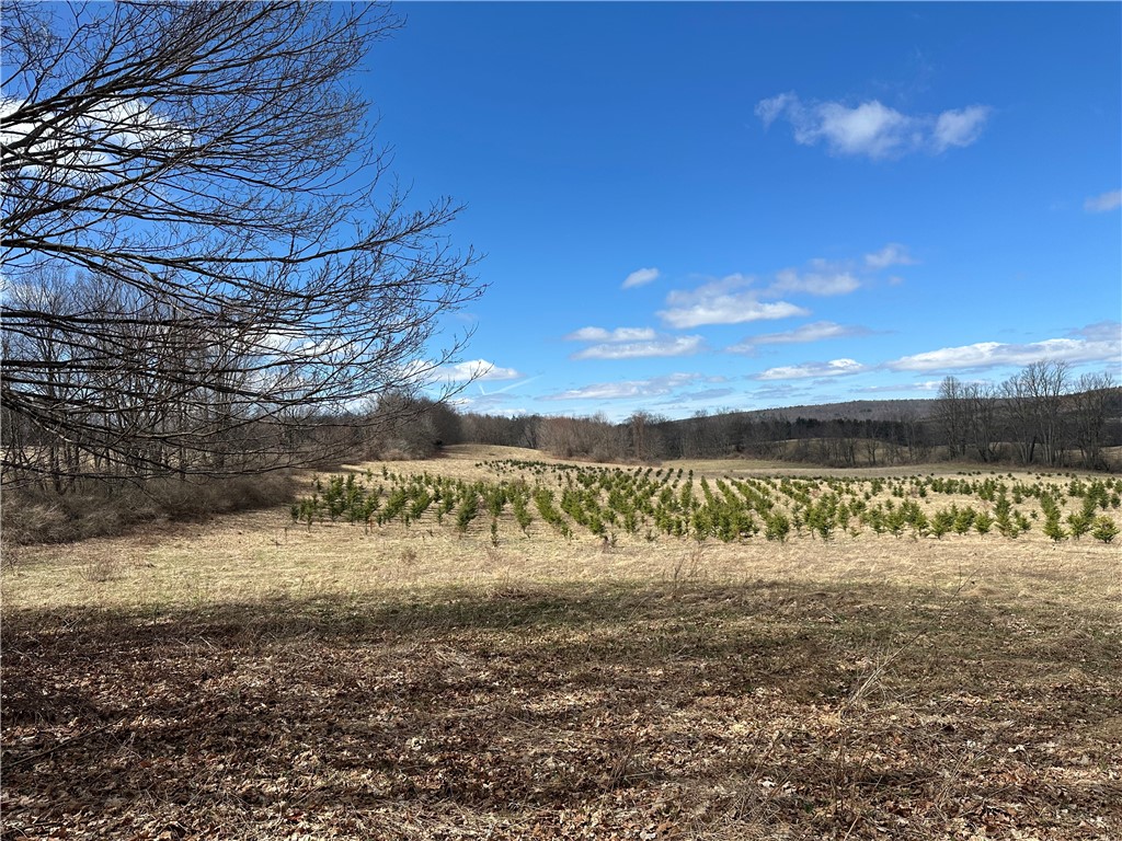 231 Prattsburg Road