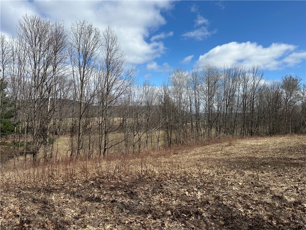 231 Prattsburg Road