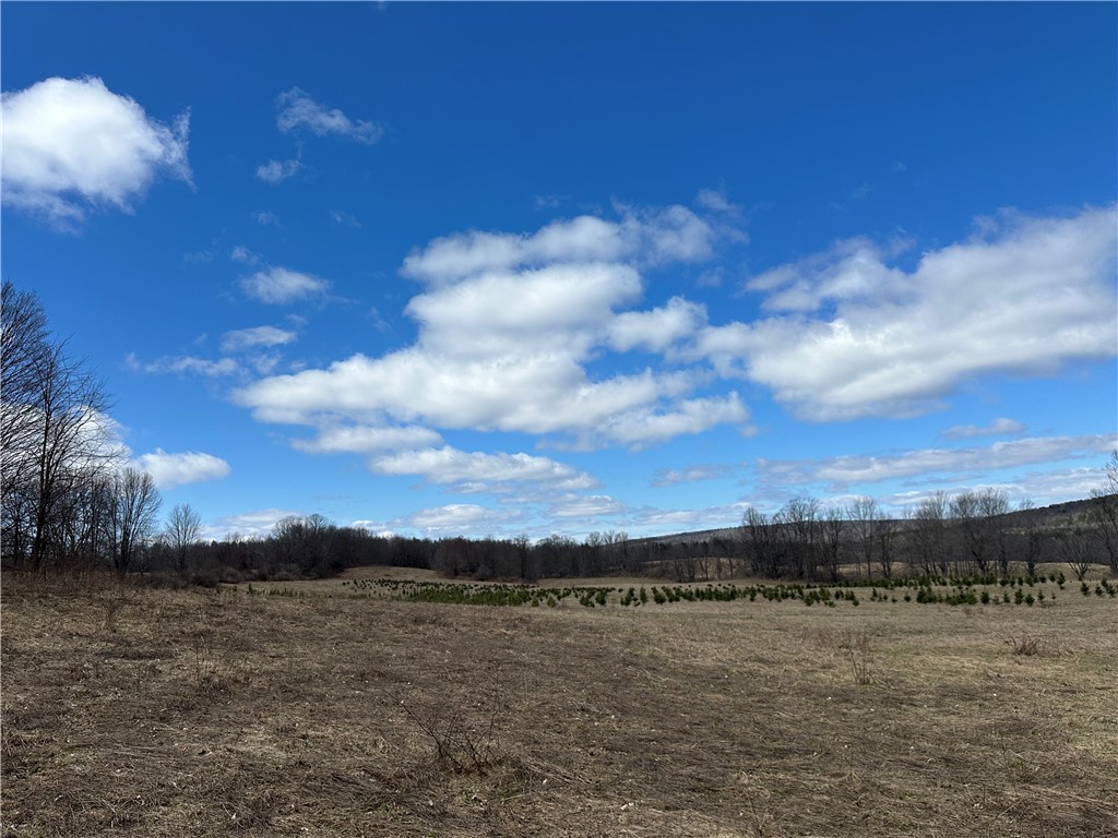 231 Prattsburg Road