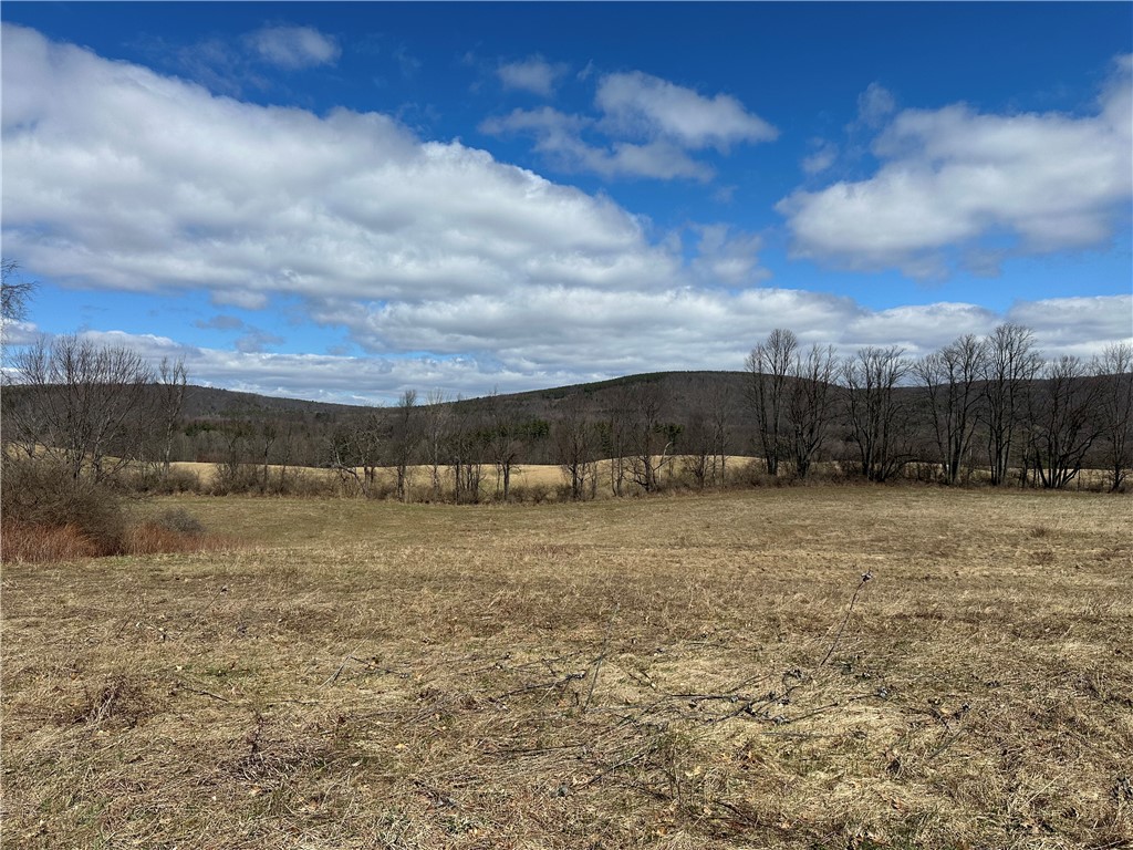 231 Prattsburg Road