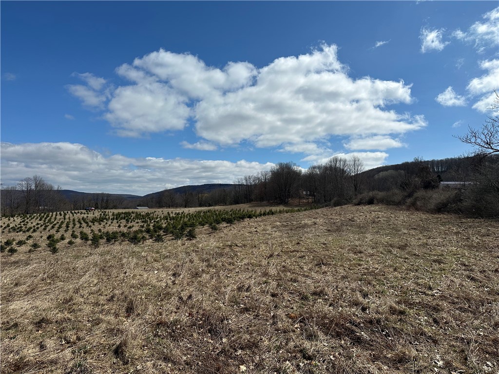 231 Prattsburg Road