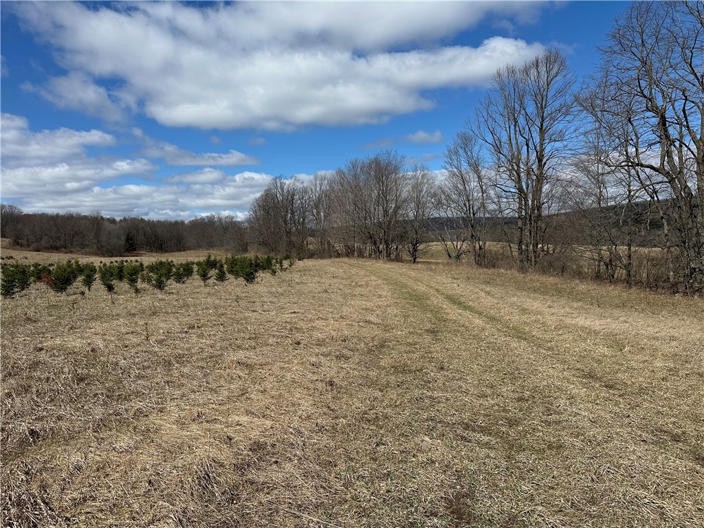 231 Prattsburg Road