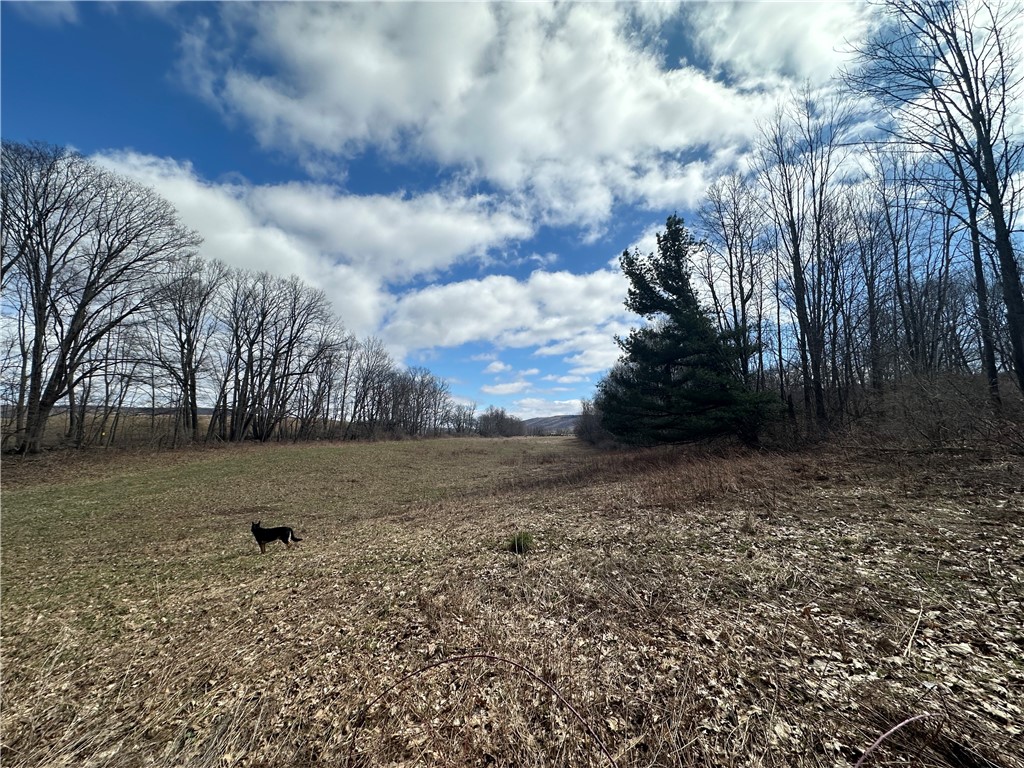 231 Prattsburg Road