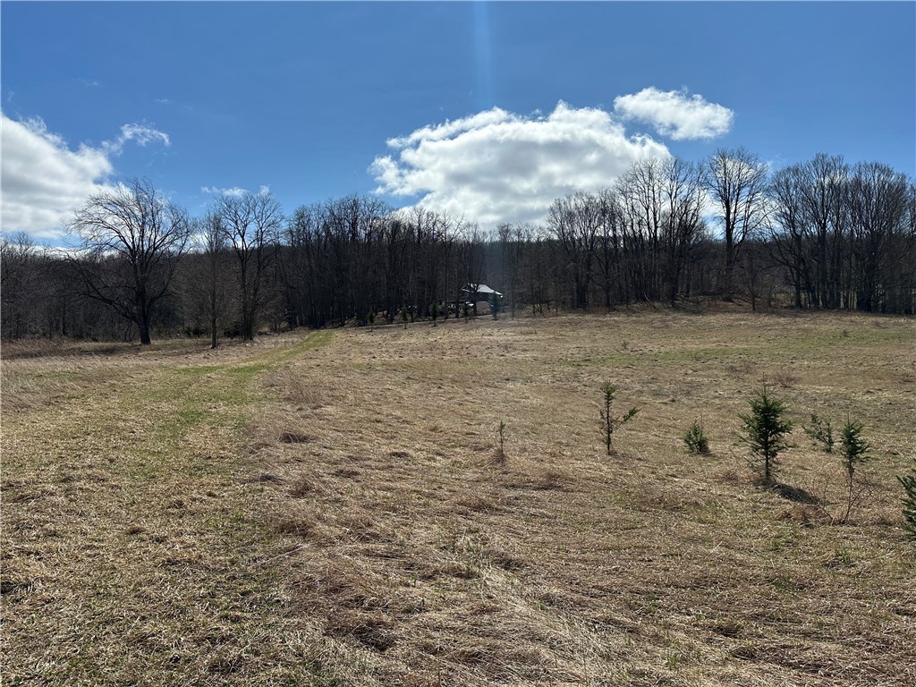 231 Prattsburg Road