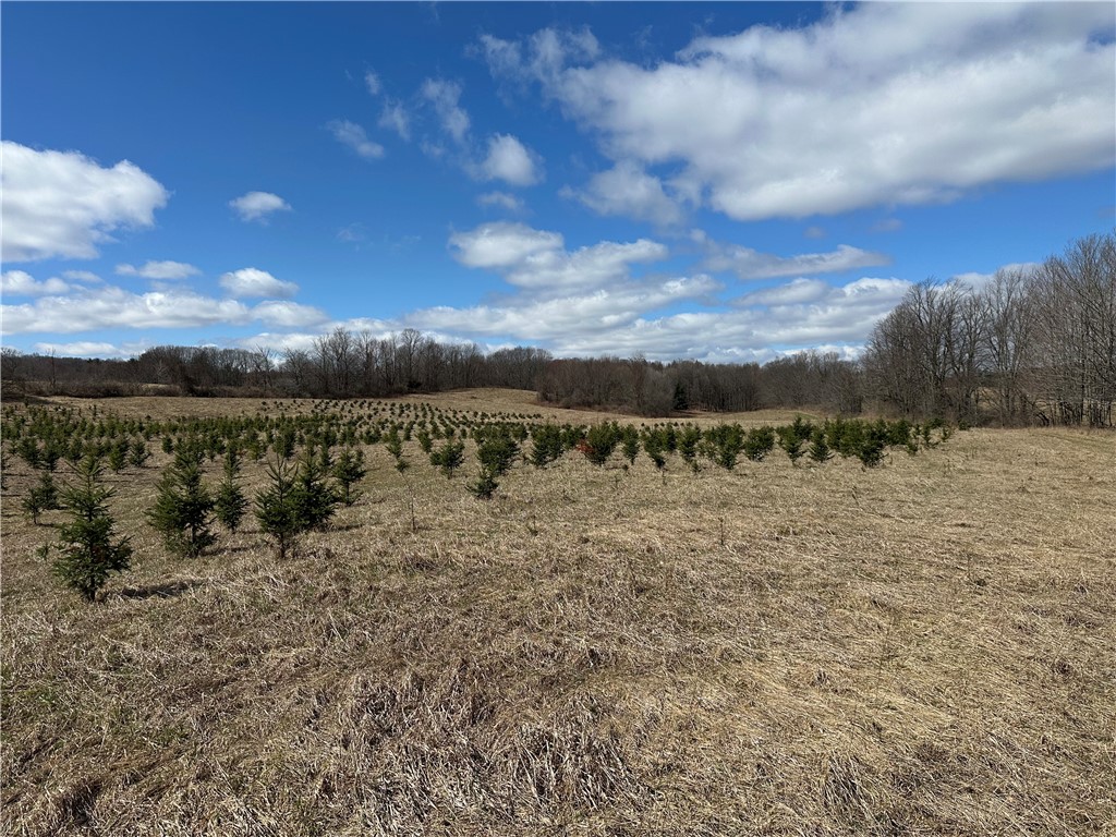 231 Prattsburg Road