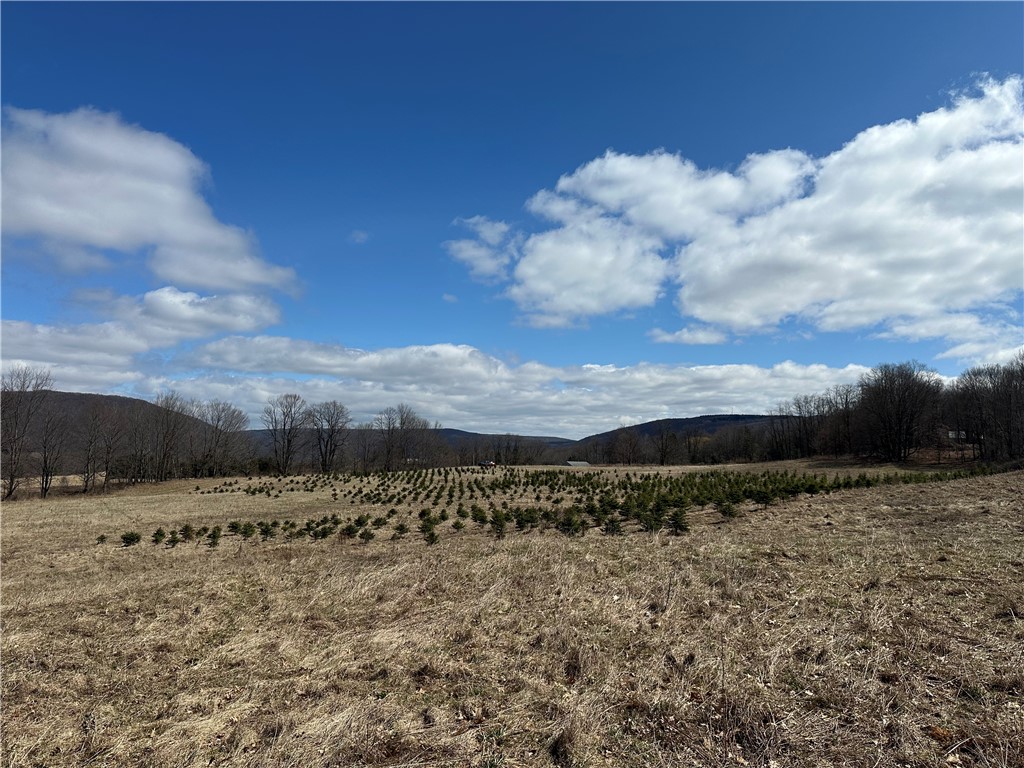 231 Prattsburg Road
