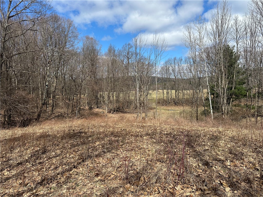 231 Prattsburg Road