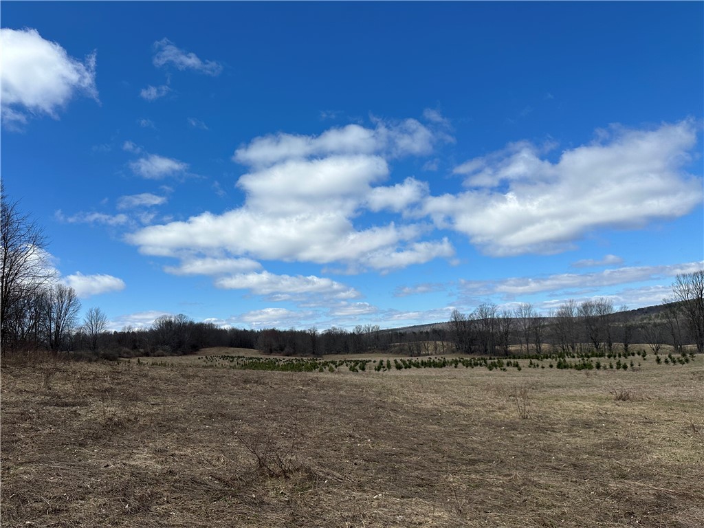 231 Prattsburg Road