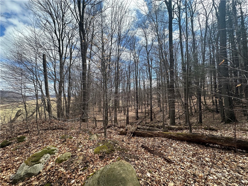231 Prattsburg Road