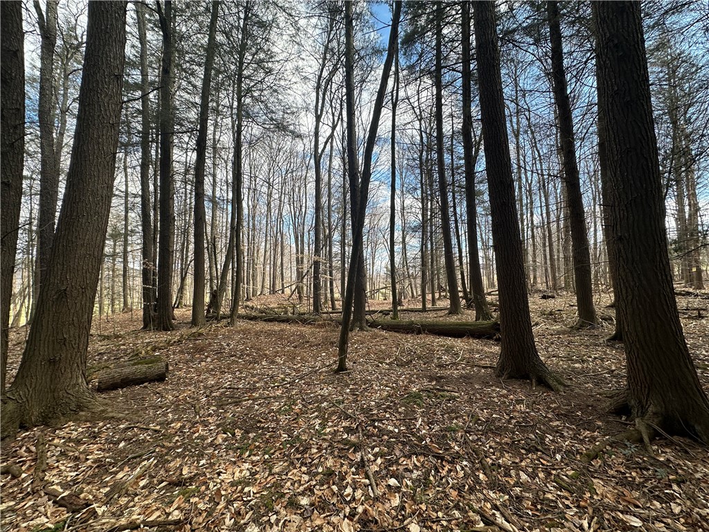 231 Prattsburg Road