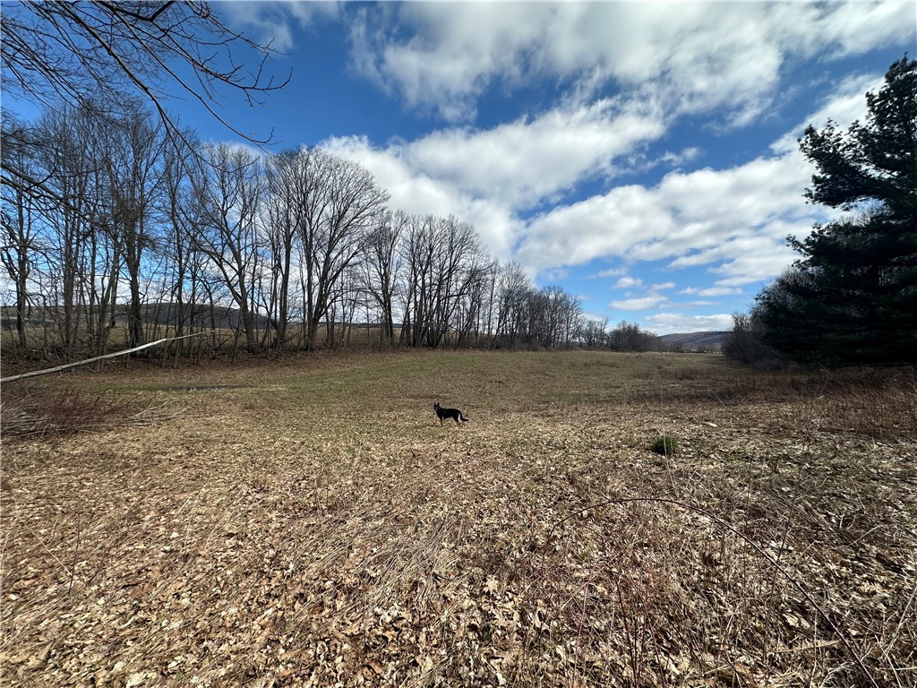 231 Prattsburg Road