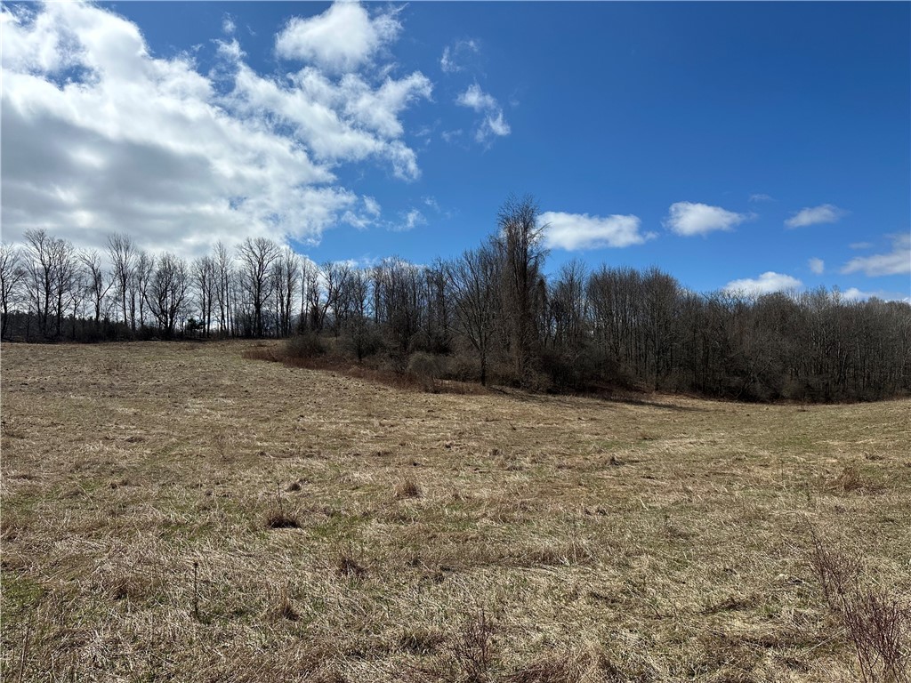 231 Prattsburg Road