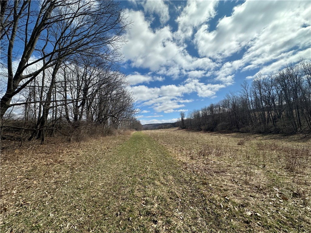 231 Prattsburg Road