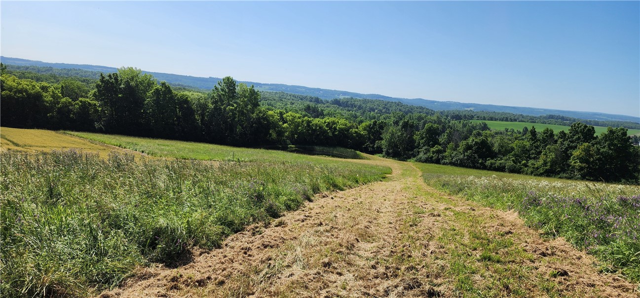 0 Townline Road