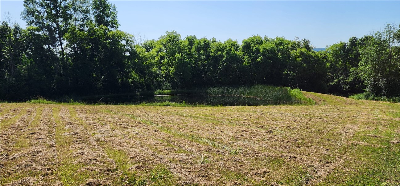 0 Townline Road