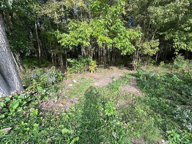 2459 Jones Road