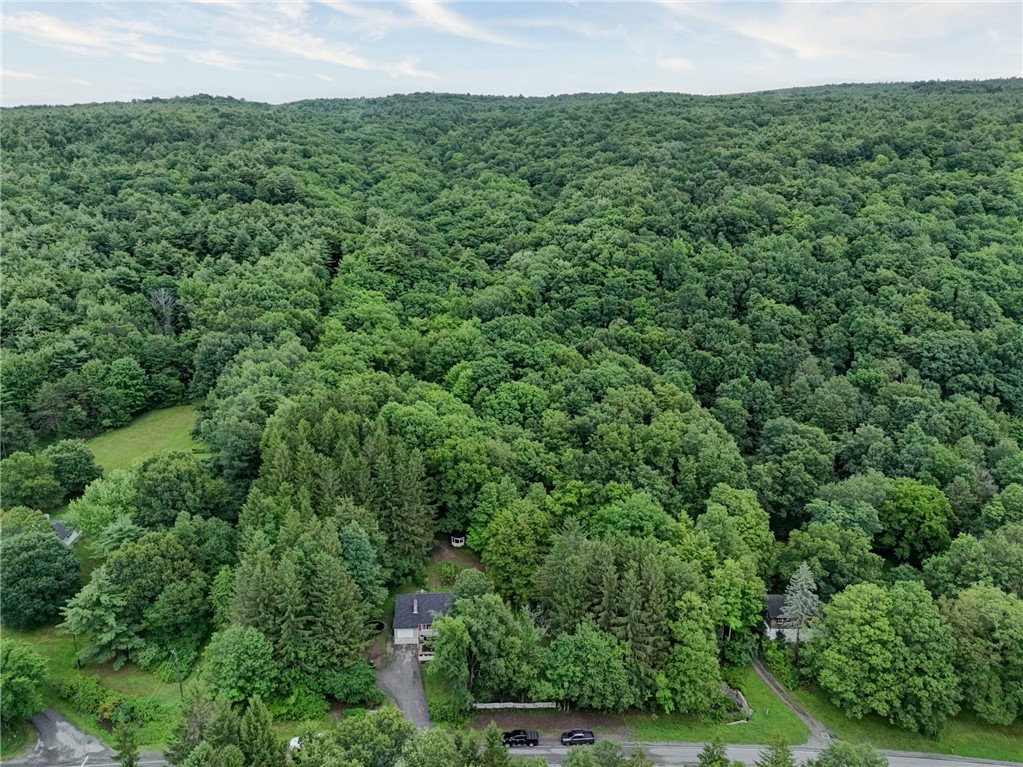 5397 County Road 33