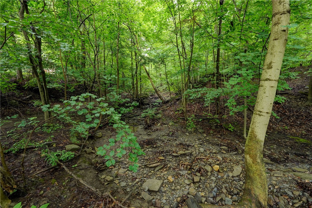 5397 County Road 33
