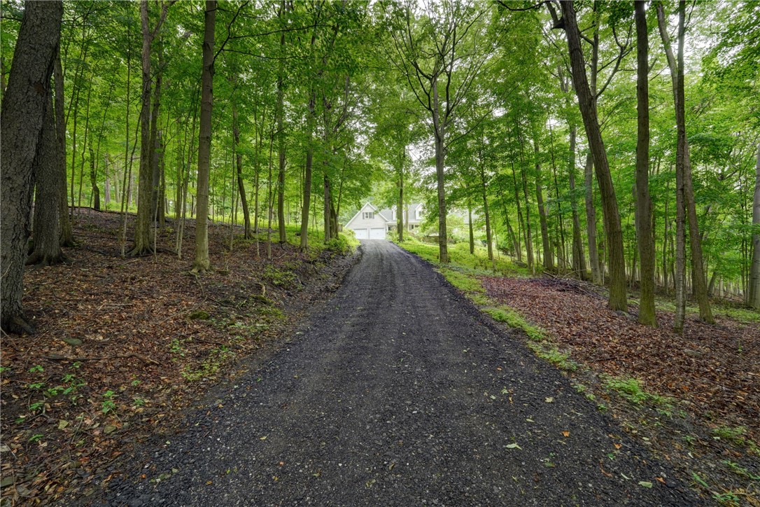 3153 County Road 40