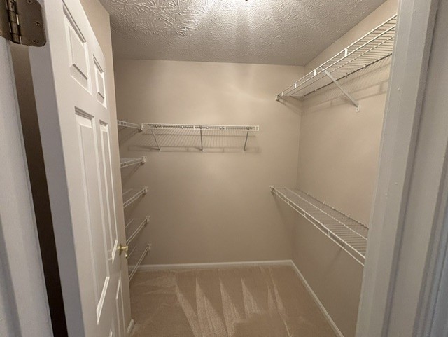 137 Deseyn Drive