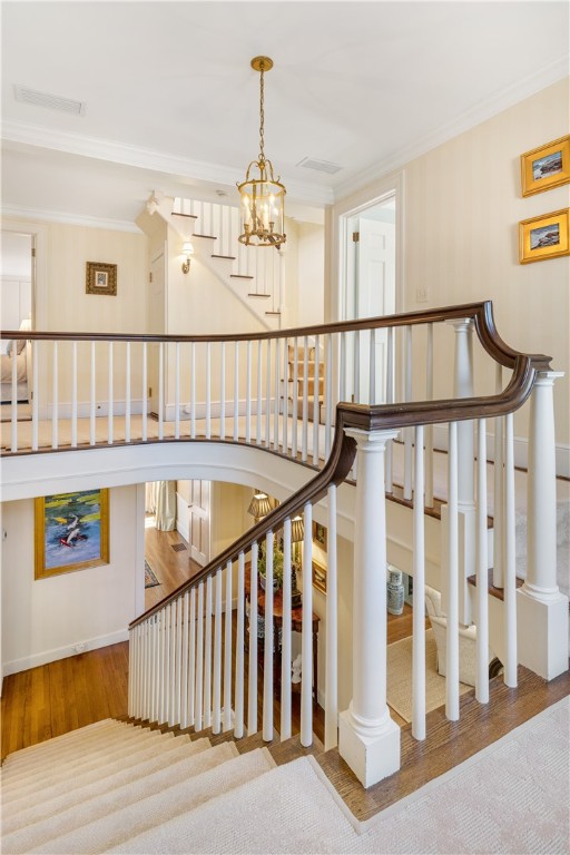 125 Grotto Avenue