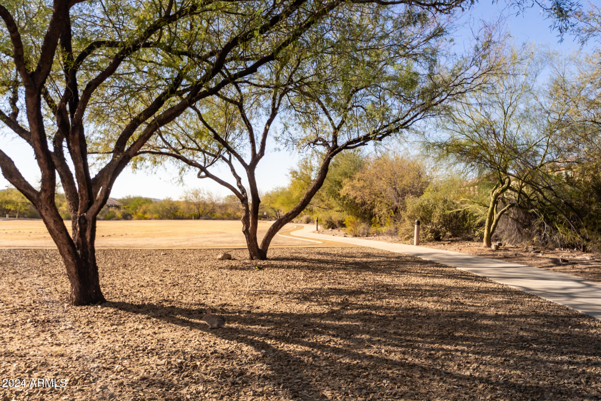 7093 W ANDREW Lane