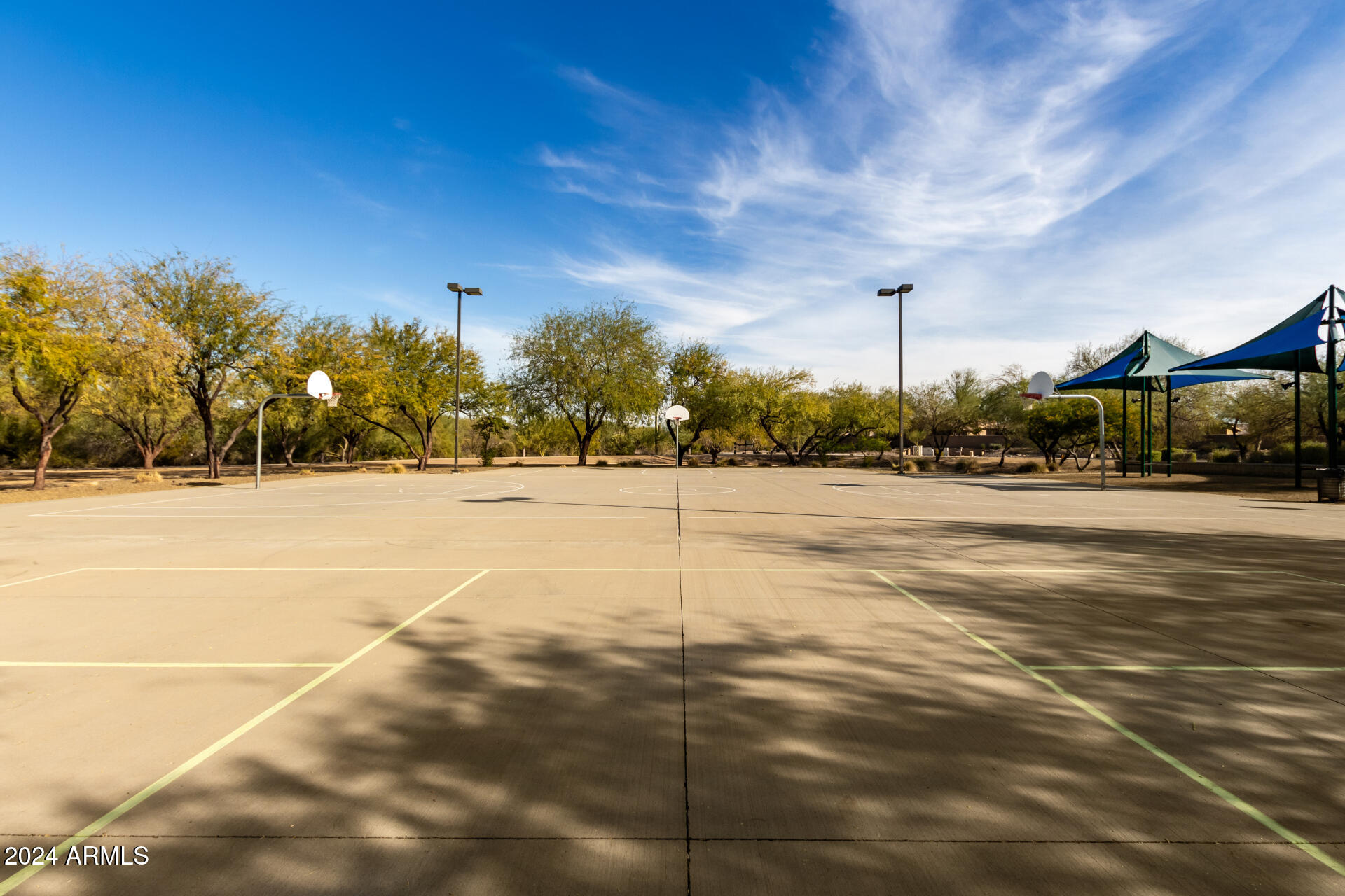 7093 W ANDREW Lane