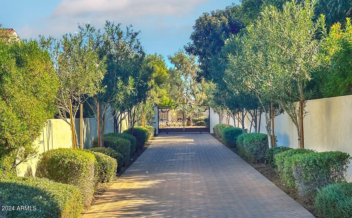 4417 N Camino Allenada