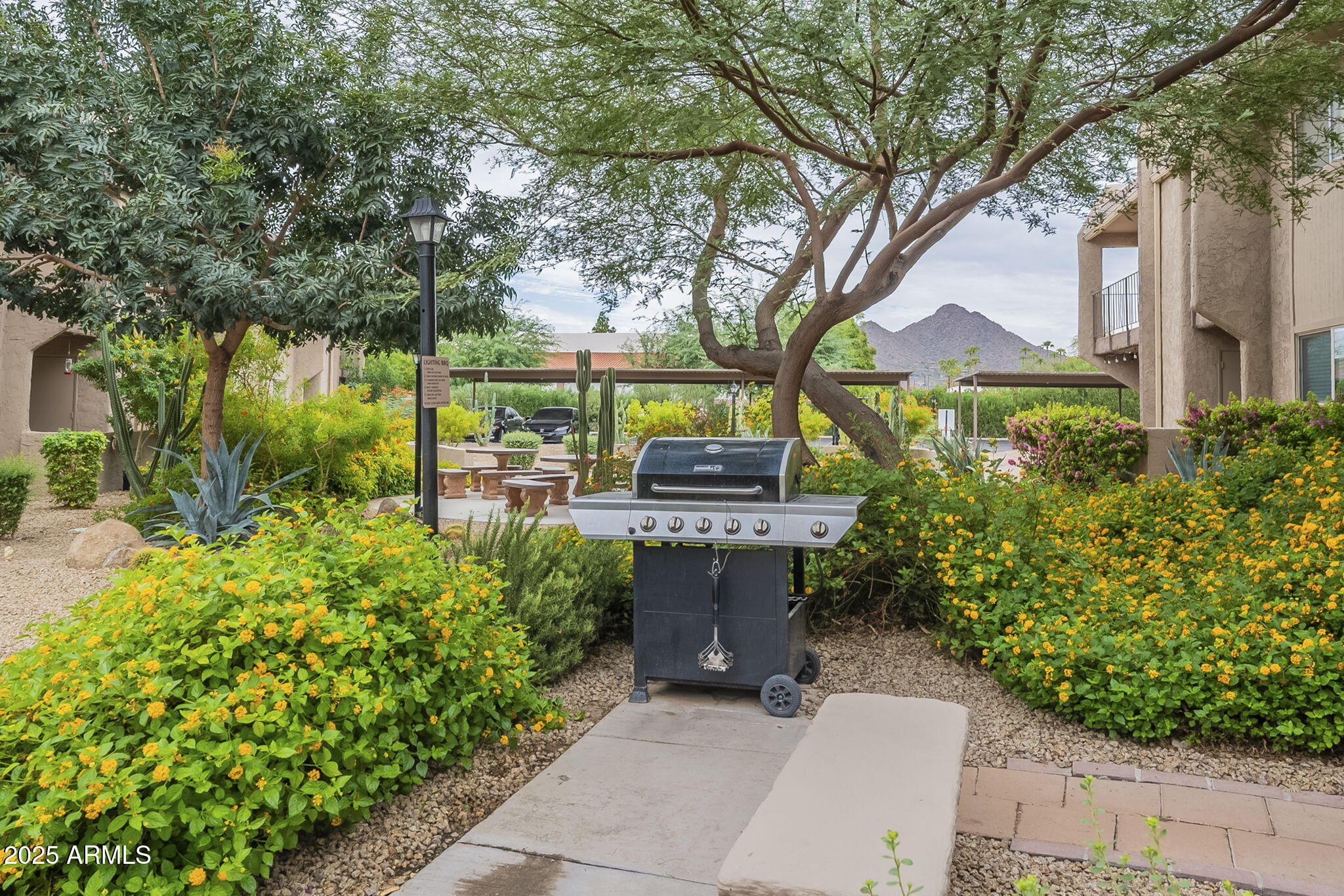 7430 E CHAPARRAL Road A202