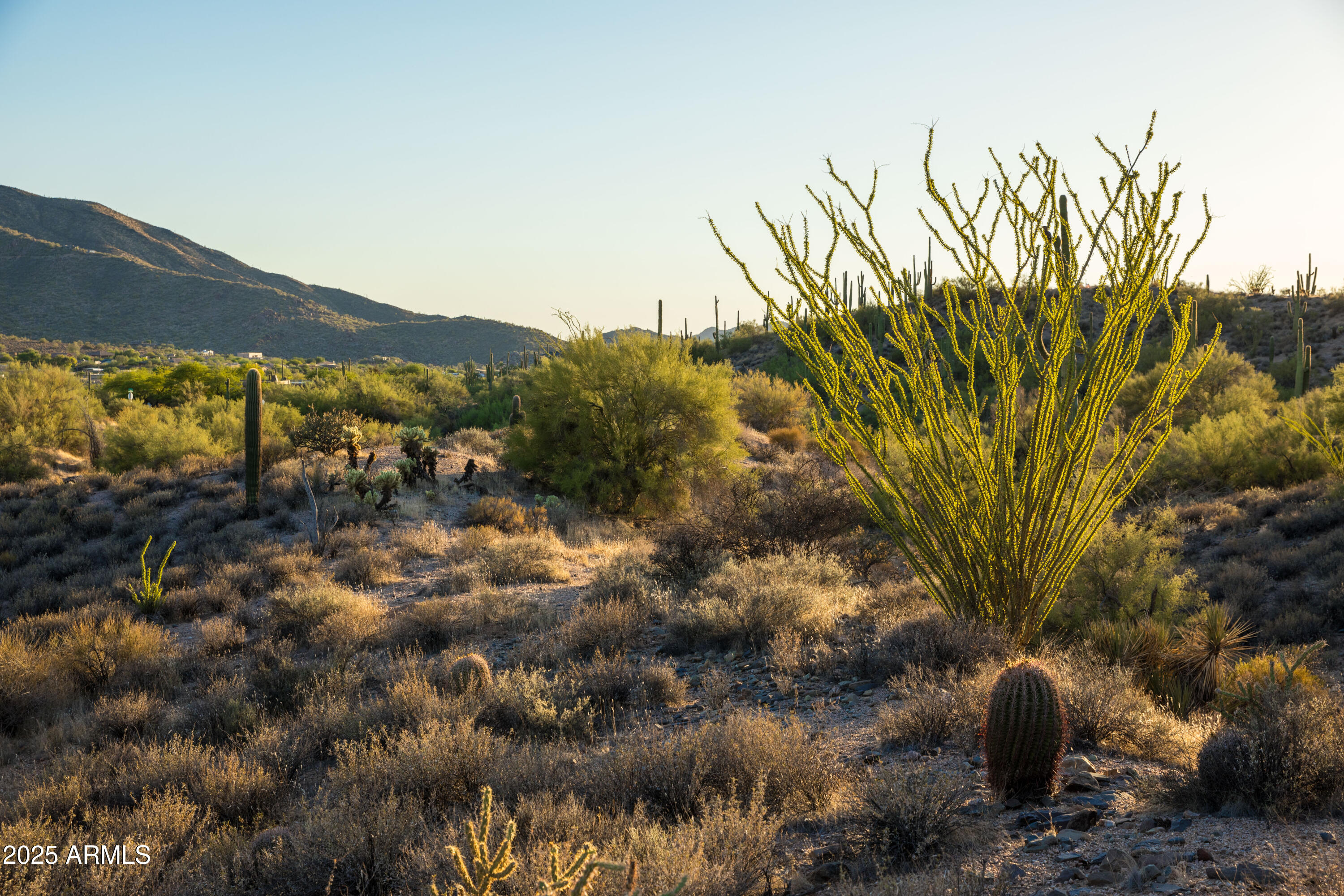 7650 E RISING SUN Road -