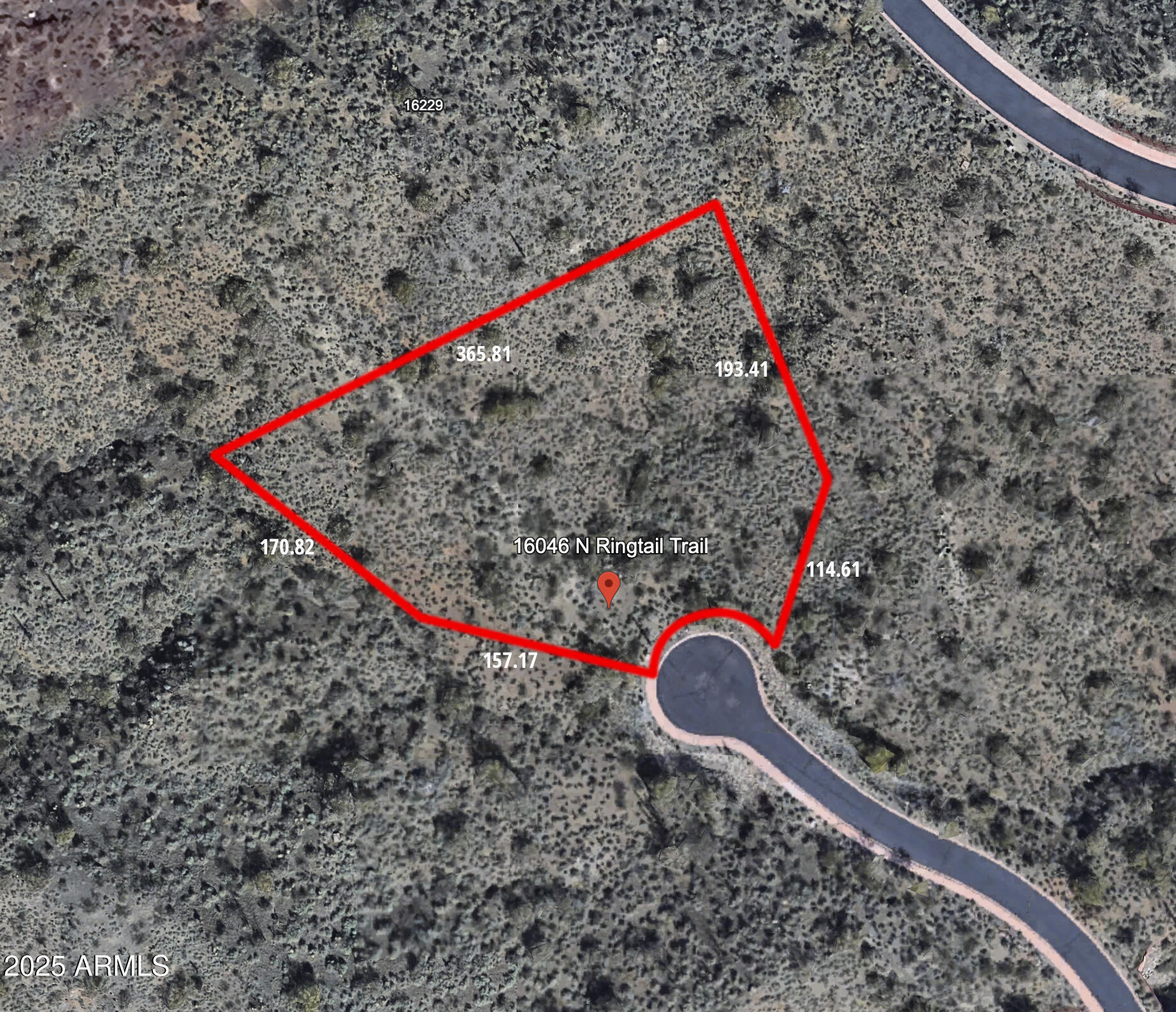 16046 N Ringtail Trail 241