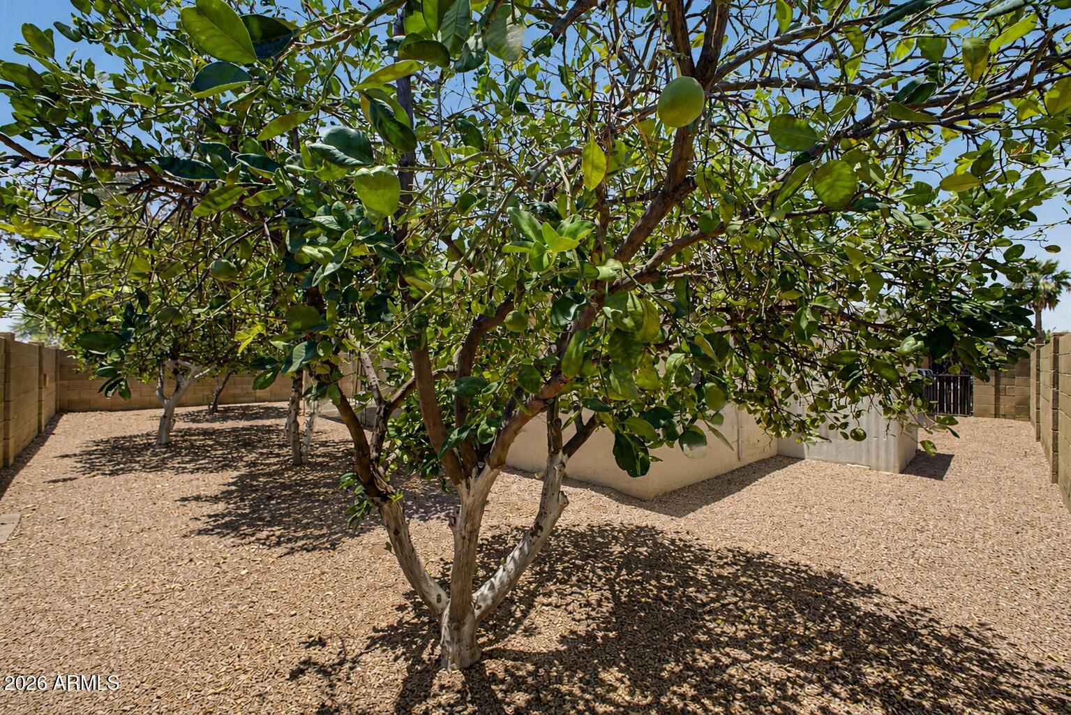 463 S OLMO Circle